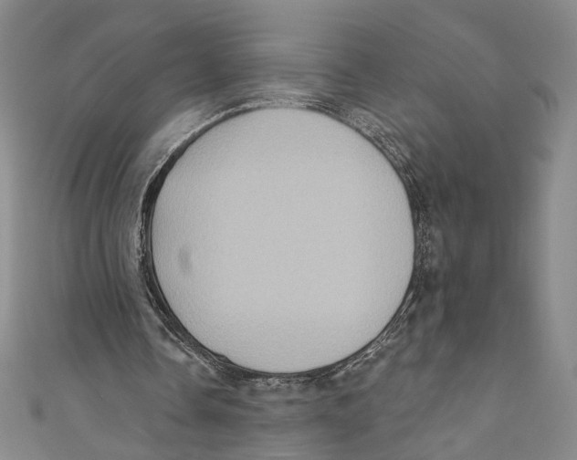 X0000110680338200907101132