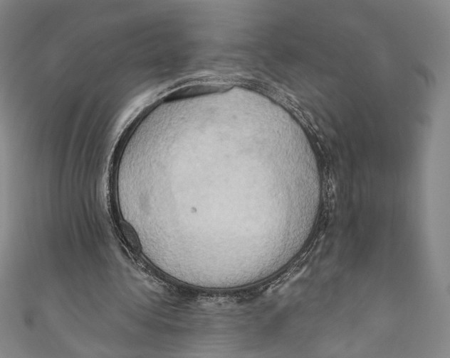 X0000110680340200907101132