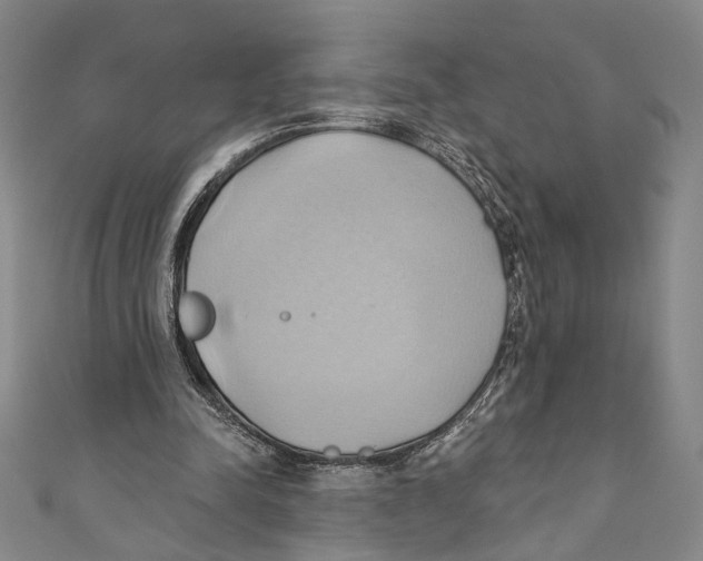 X0000110680342200907101132