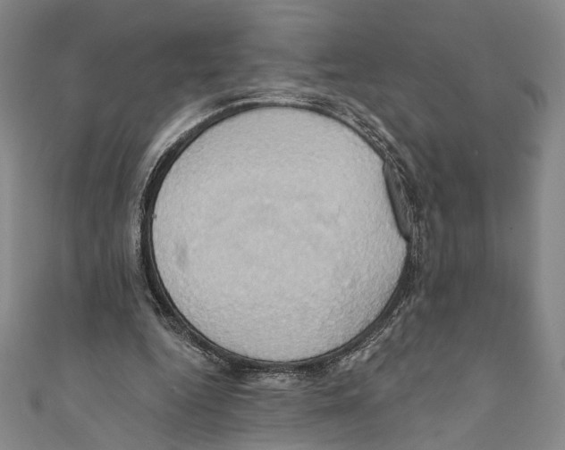 X0000110680344200907101132