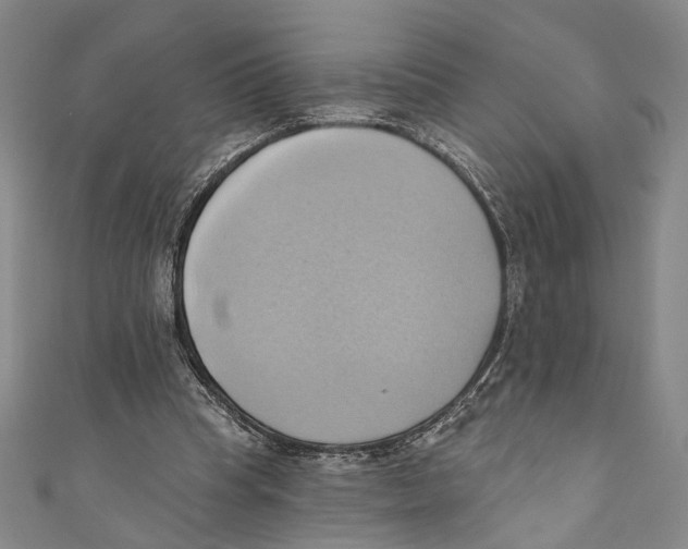 X0000110680345200907101132