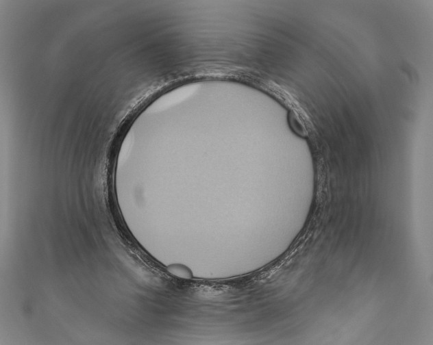 X0000110680346200907101132