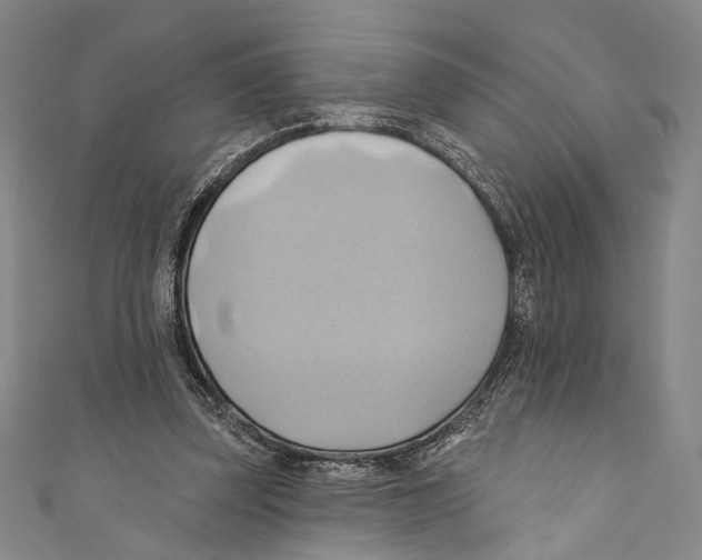 X0000110680347200907101132