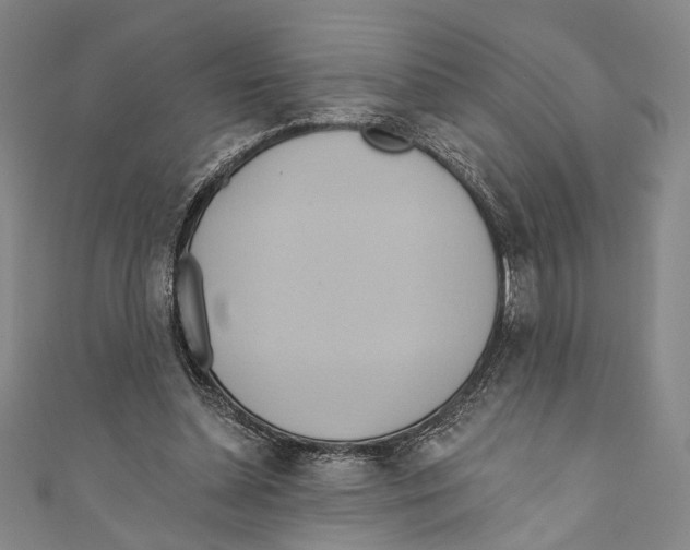 X0000110680348200907101132