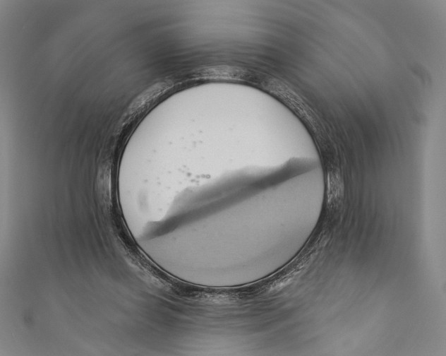 X0000110680349200907101132