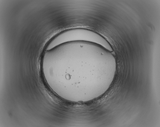 X0000110680350200907101132
