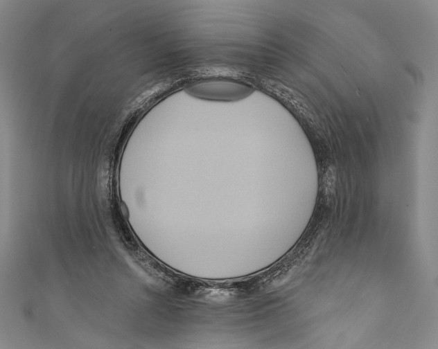 X0000110680352200907101132