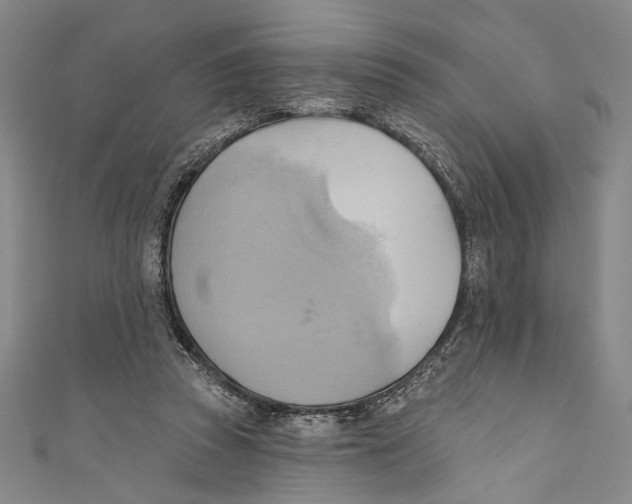X0000110680353200907101132