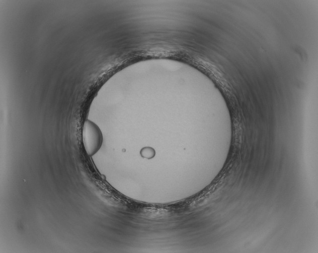 X0000110680354200907101132