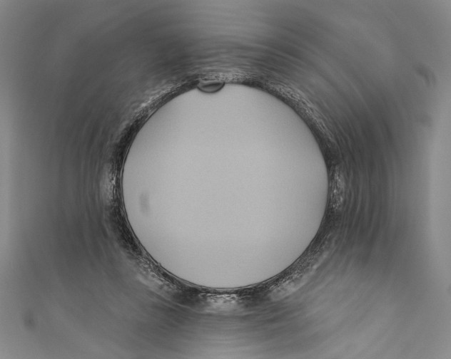 X0000110680355200907101132