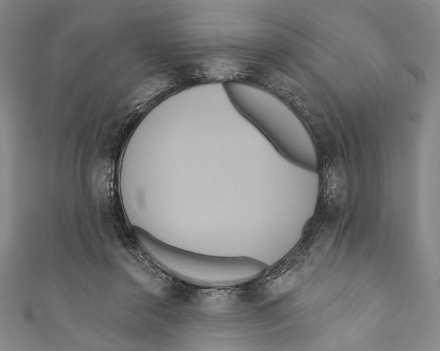 X0000110680356200907101132