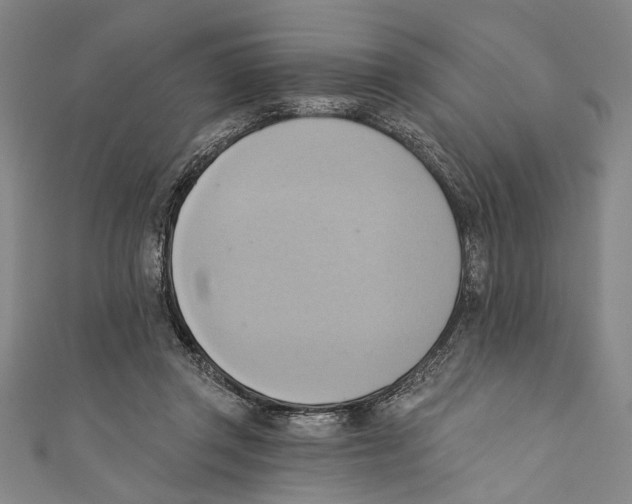 X0000110680357200907101132