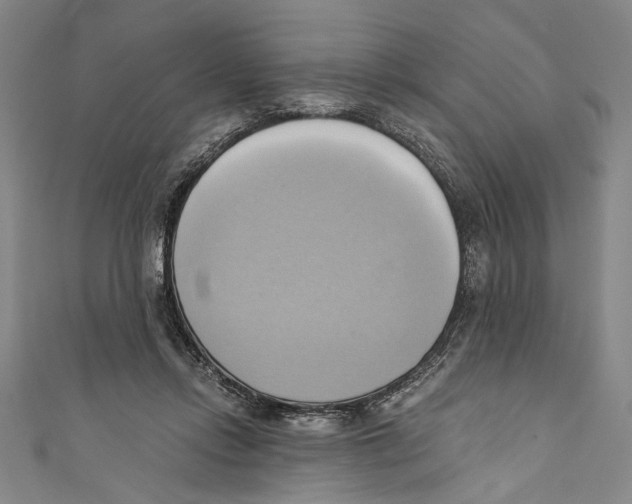 X0000110680358200907101132