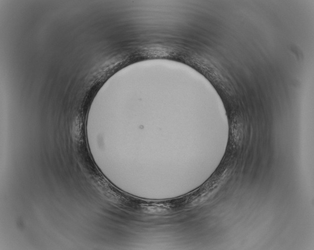 X0000110680359200907101132