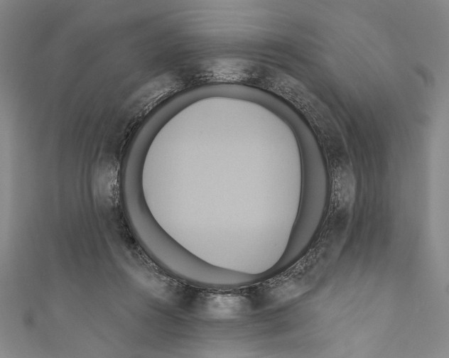 X0000110680360200907101132