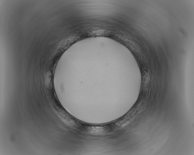 X0000110680361200907101132