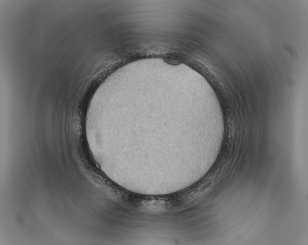 X0000110680362200907101132