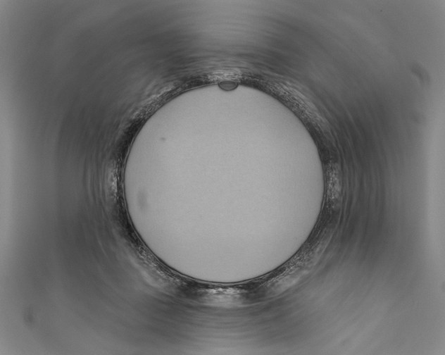 X0000110680363200907101132