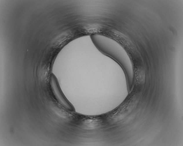 X0000110680364200907101132