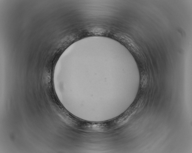 X0000110680365200907101132