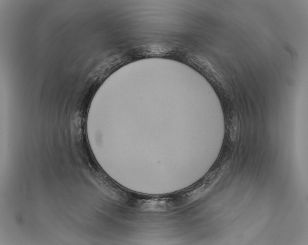 X0000110680366200907101132