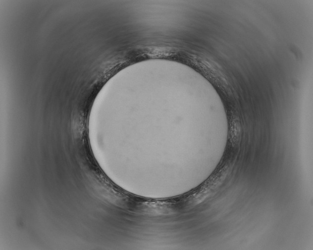 X0000110680367200907101132