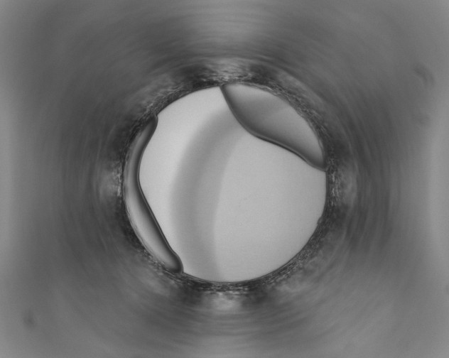 X0000110680368200907101132