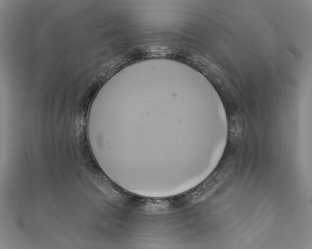 X0000110680369200907101132