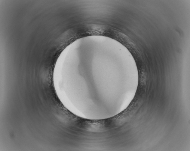 X0000110680370200907101132