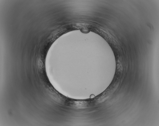 X0000110680371200907101132