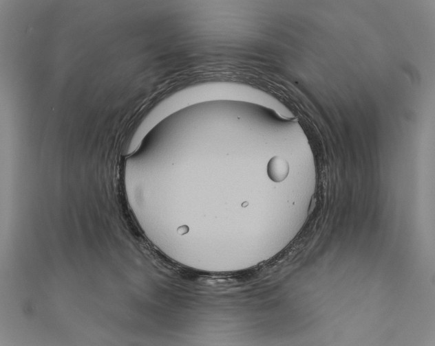 X0000110680372200907101132