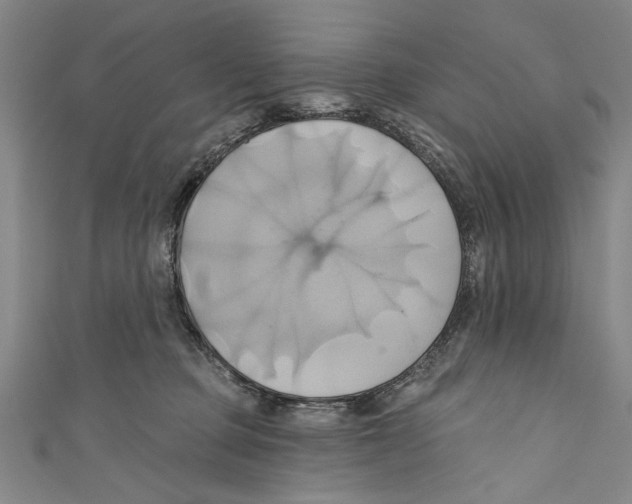 X0000110680373200907101132