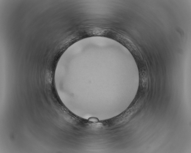 X0000110680374200907101132