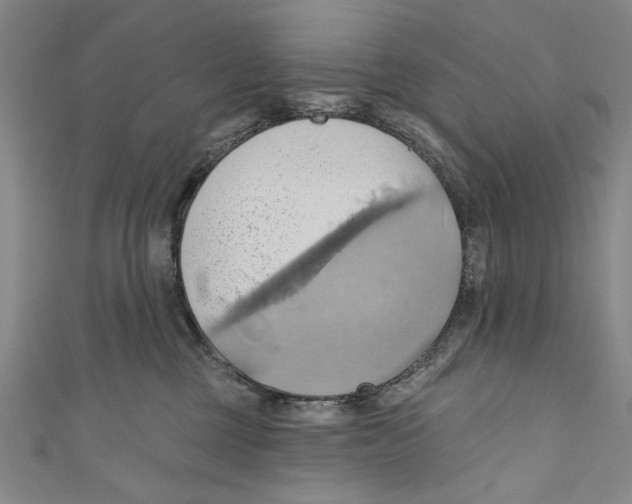 X0000110680377200907101132