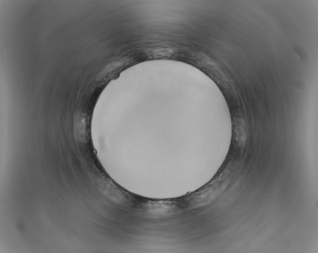 X0000110680378200907101132