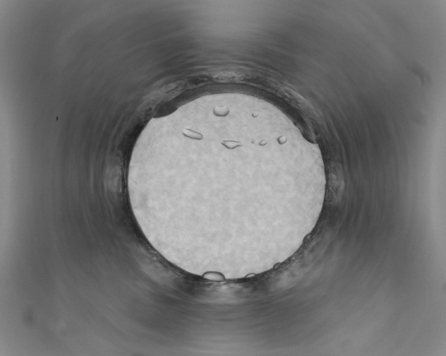 X0000110680379200907101132