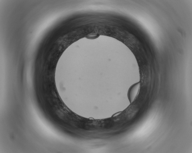 X0000110680383200907101132