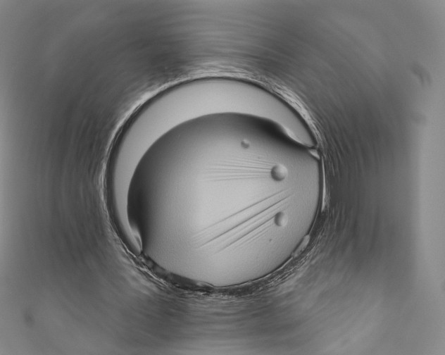 X0000110680387200907101132