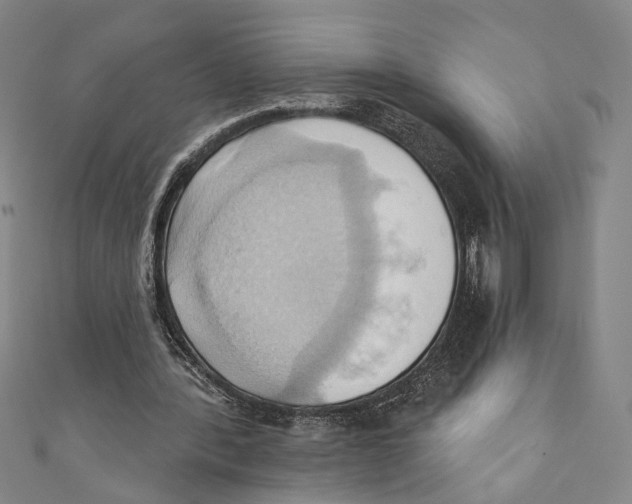 X0000110680388200907101132