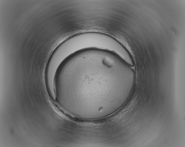 X0000110680389200907101132