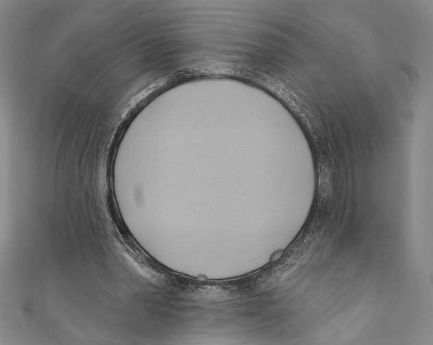 X0000110680390200907101132