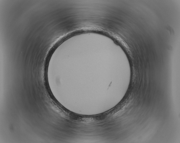 X0000110680391200907101132