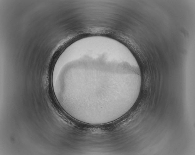 X0000110680392200907101132