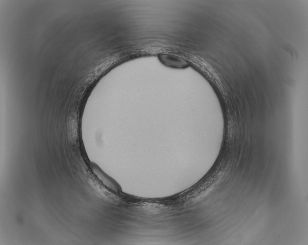 X0000110680393200907101132