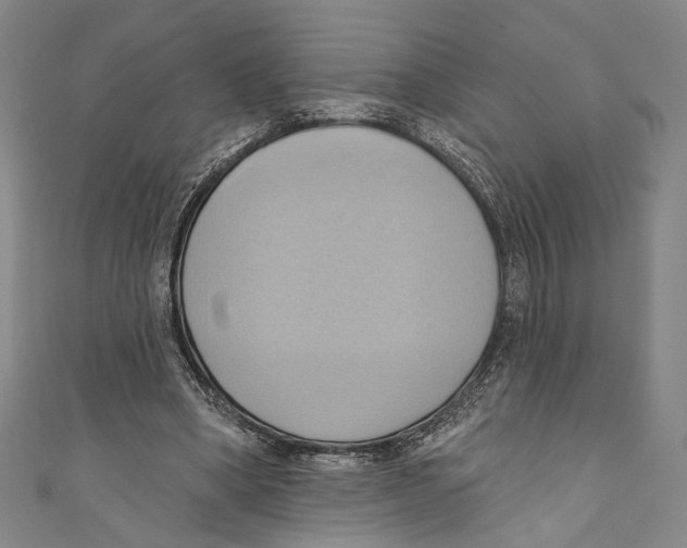 X0000110680394200907101132
