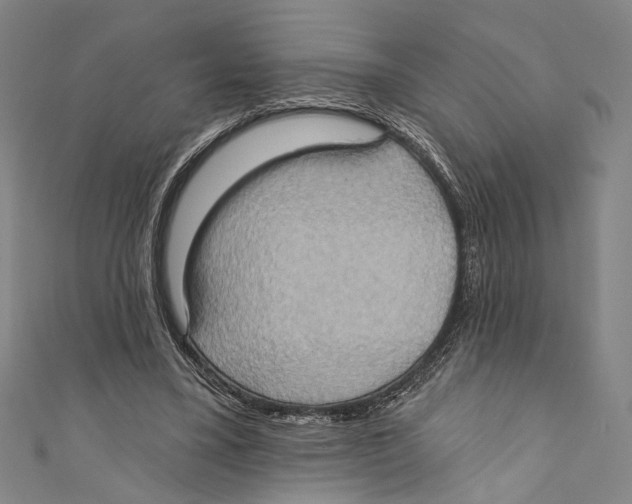 X0000110680395200907101132