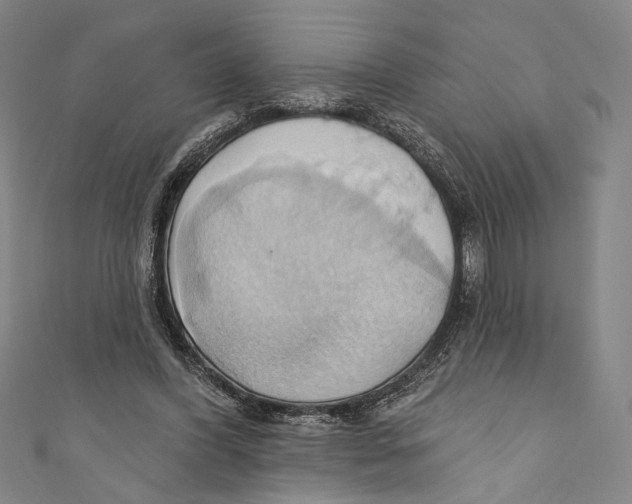 X0000110680396200907101132