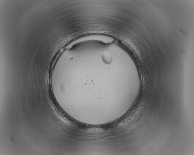 X0000110680397200907101132