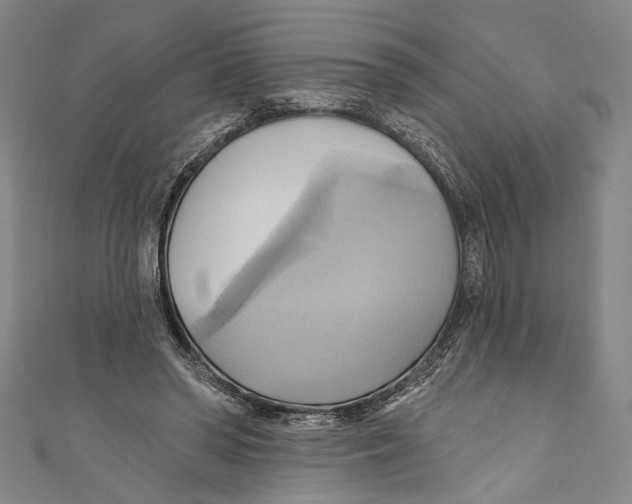 X0000110680398200907101132