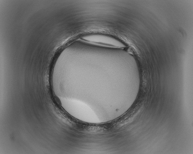 X0000110680399200907101132